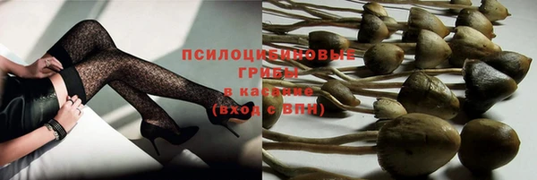 гашиш Дмитриев