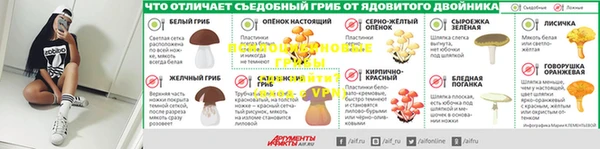 соль курить ск Дмитровск