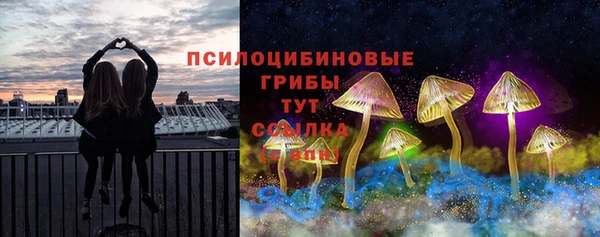 гашиш Дмитриев