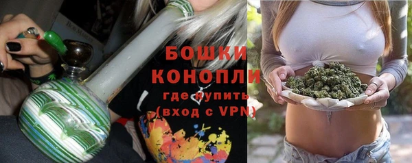 МДПВ Дмитров