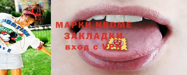индика Гусев