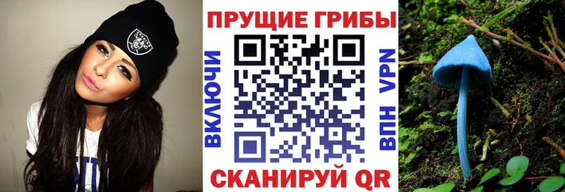 Псилоцибиновые грибы Cubensis  Купить  Красный Кут 
