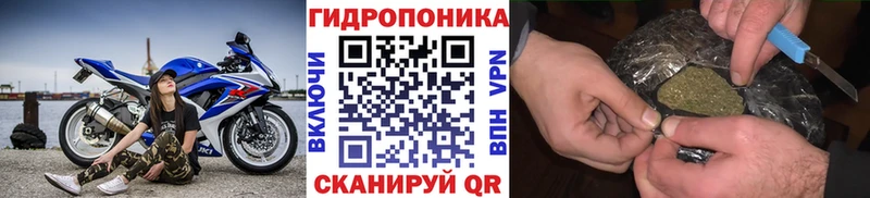 Купить где  Красный Кут  Шишки марихуана THC 21% 
